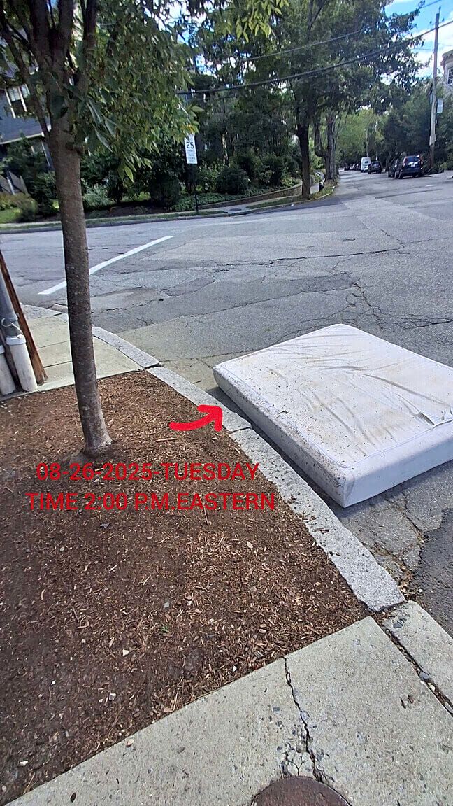 Image submitted with report