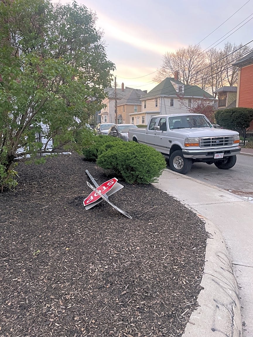 Image submitted with report