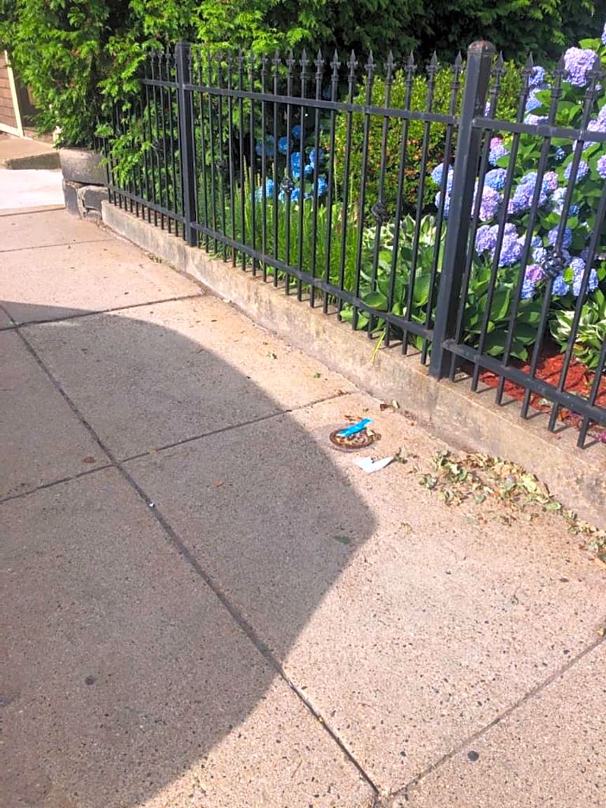 Image submitted with report