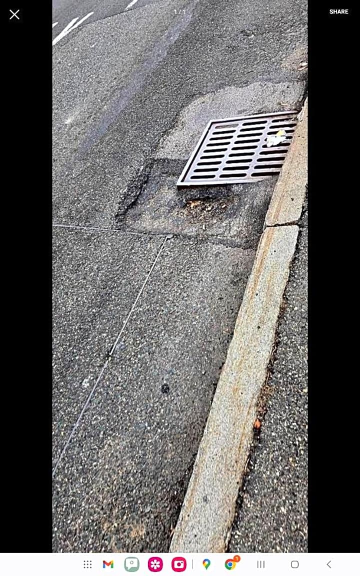 Image submitted with report
