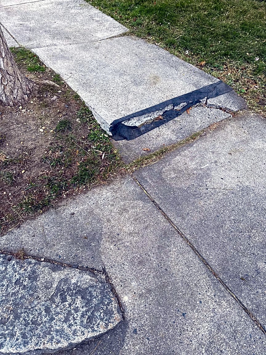 Image submitted with report