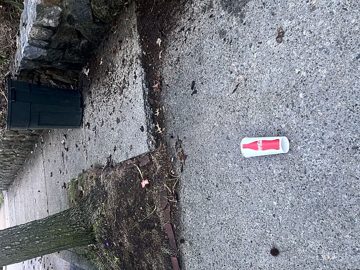 Image submitted with report