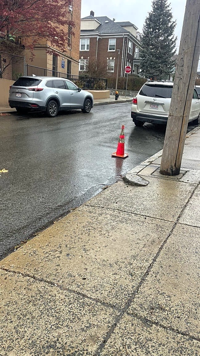 Image submitted with report