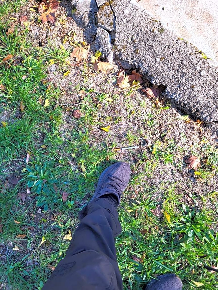 Image submitted with report