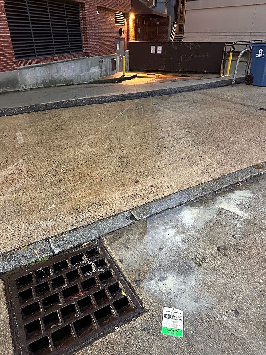 Image submitted with report