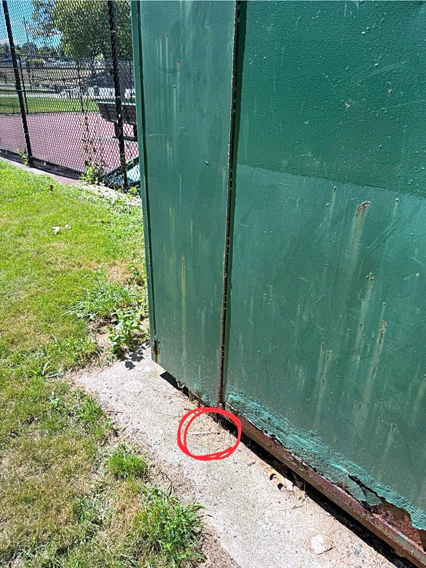 Image submitted with report