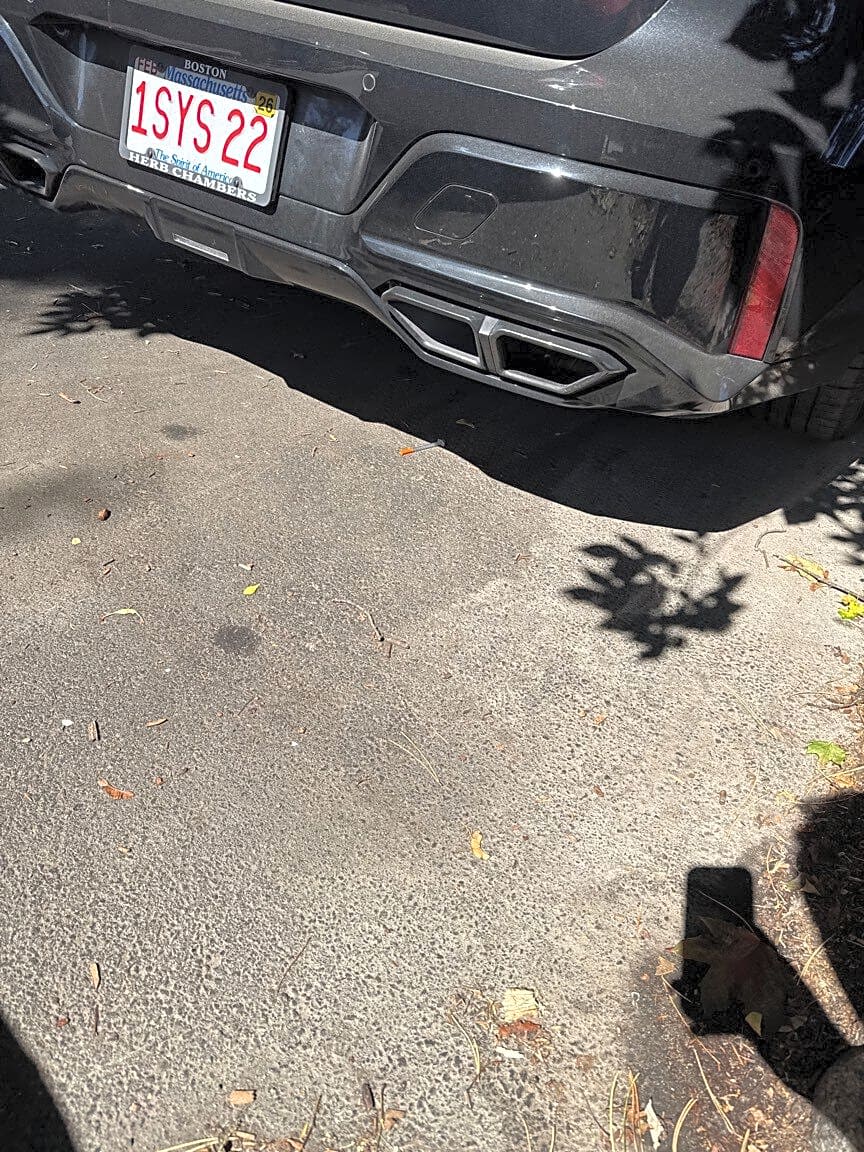 Image submitted with report