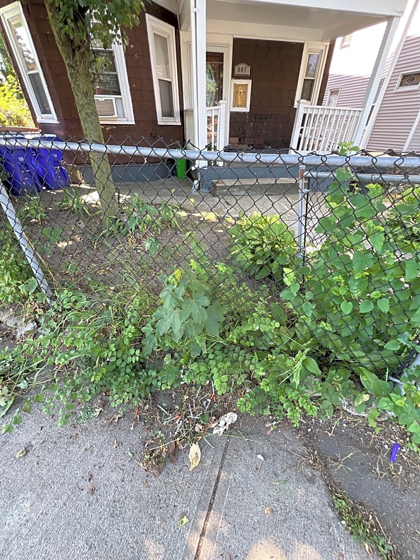Image submitted with report