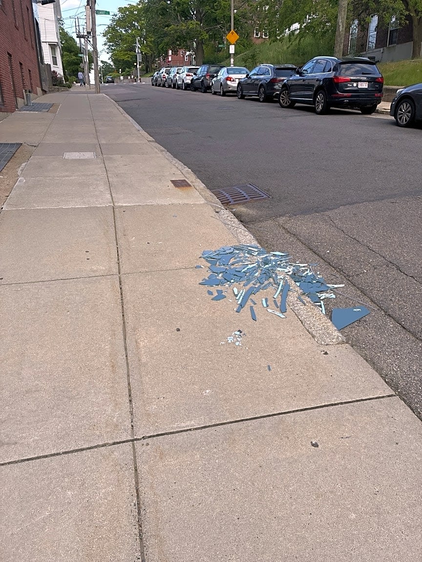Image submitted with report