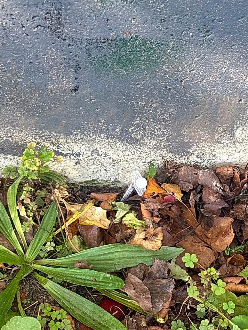 Image submitted with report