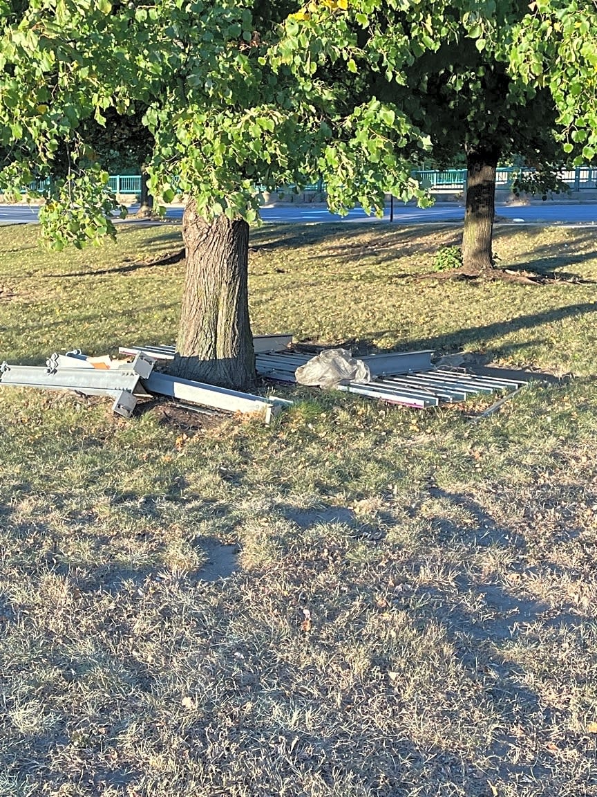Image submitted with report