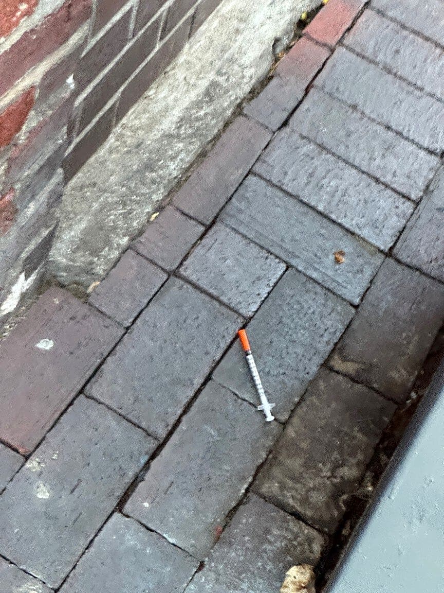 Image submitted with report