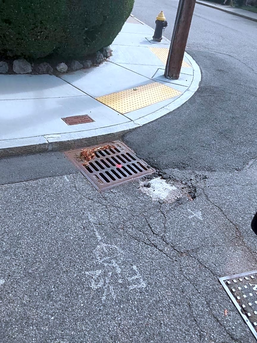 Image submitted with report