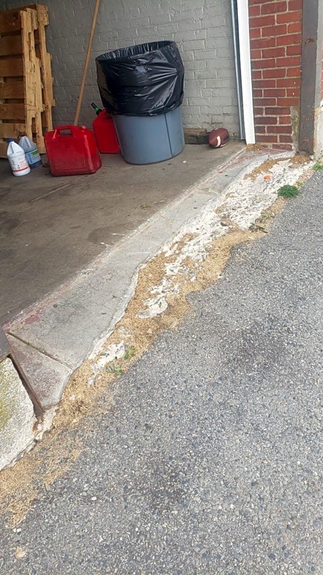 Image submitted with report