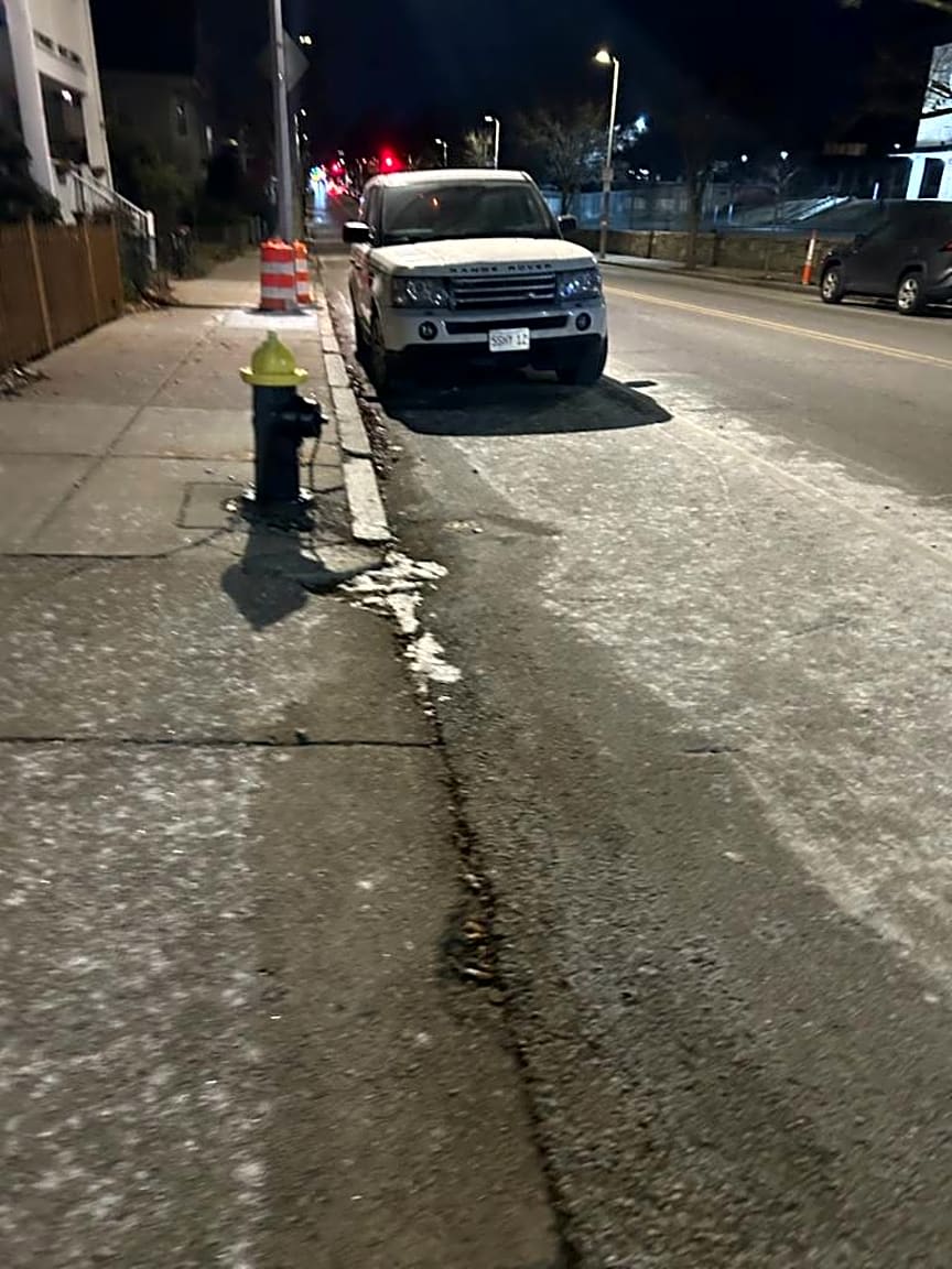 Image submitted with report