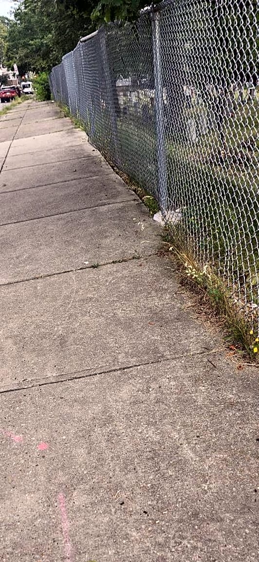 Image submitted with report