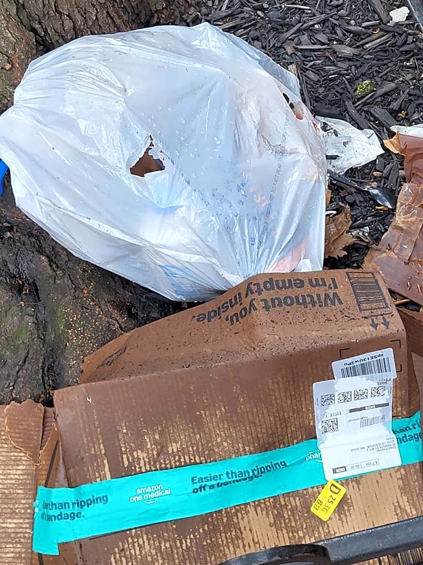 Image submitted with report