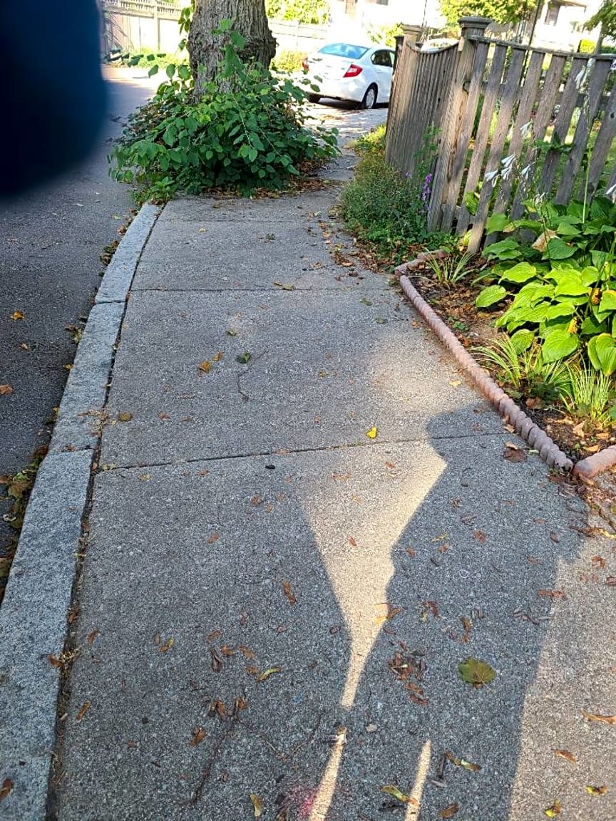 Image submitted with report