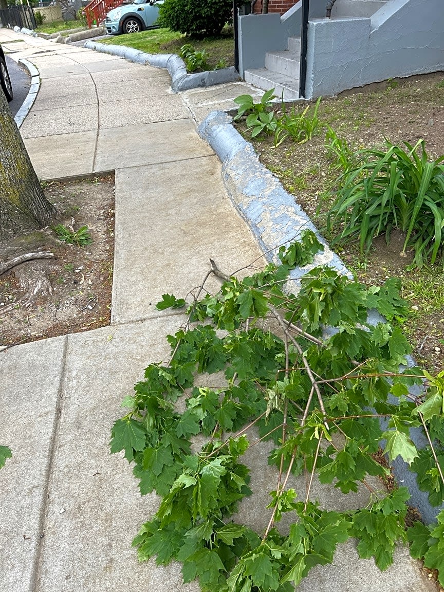 Image submitted with report