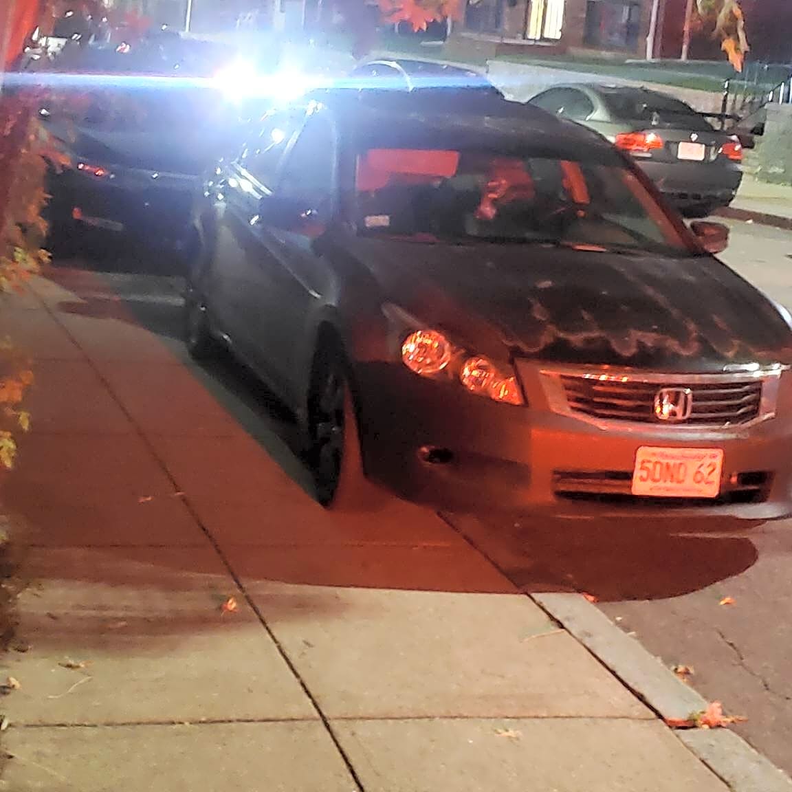 Image submitted with report