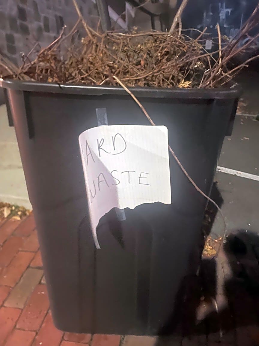 Image submitted with report