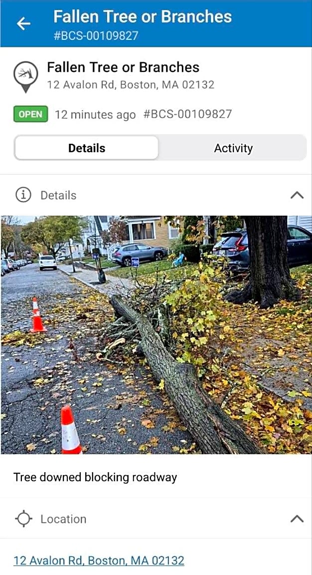 Image submitted with report