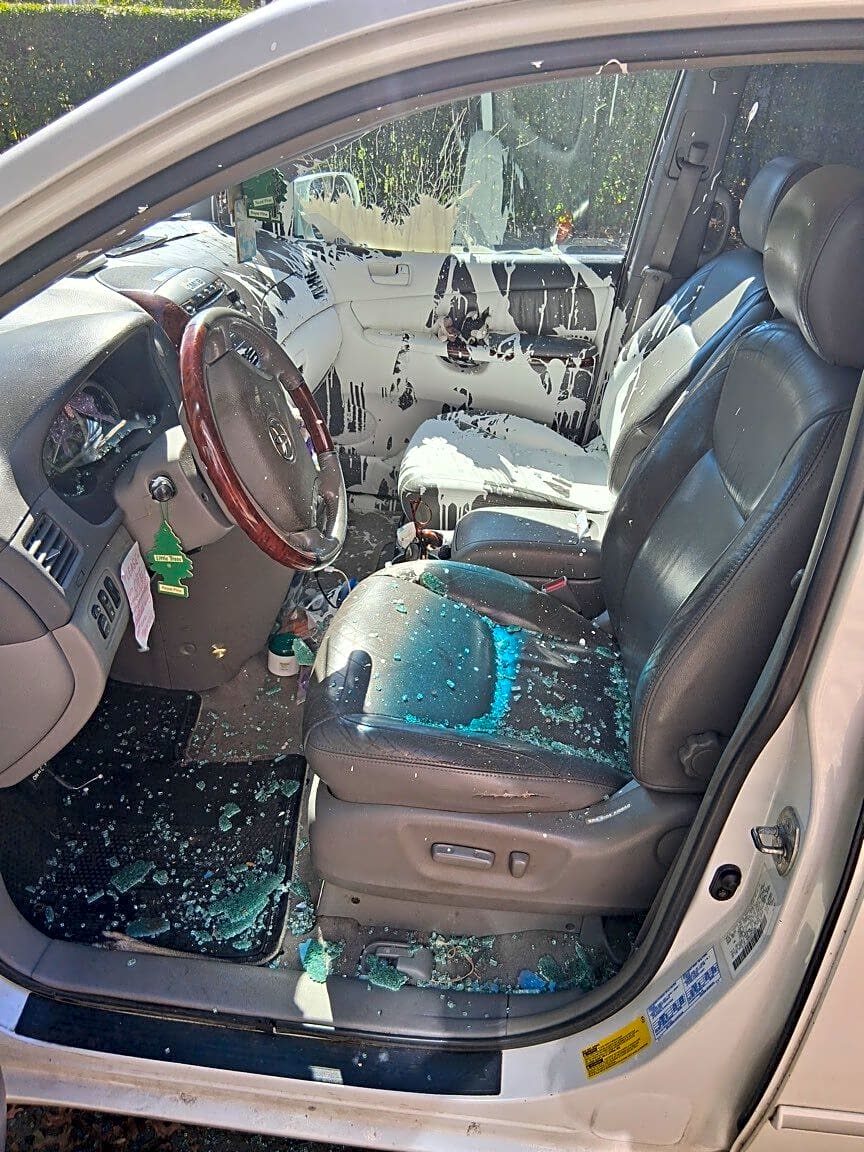 Image submitted with report