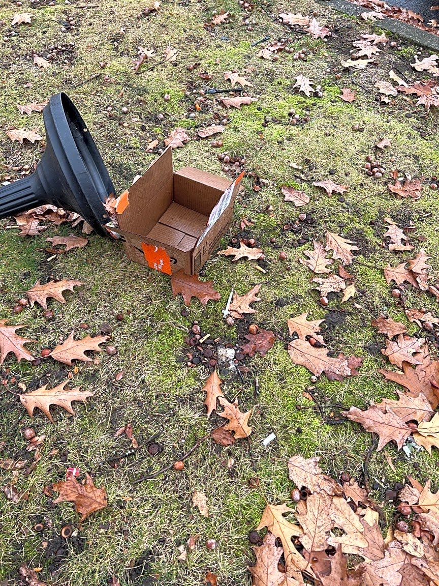 Image submitted with report