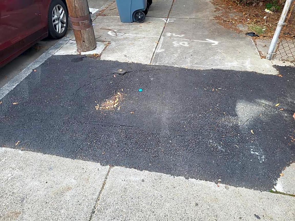 Image submitted with report