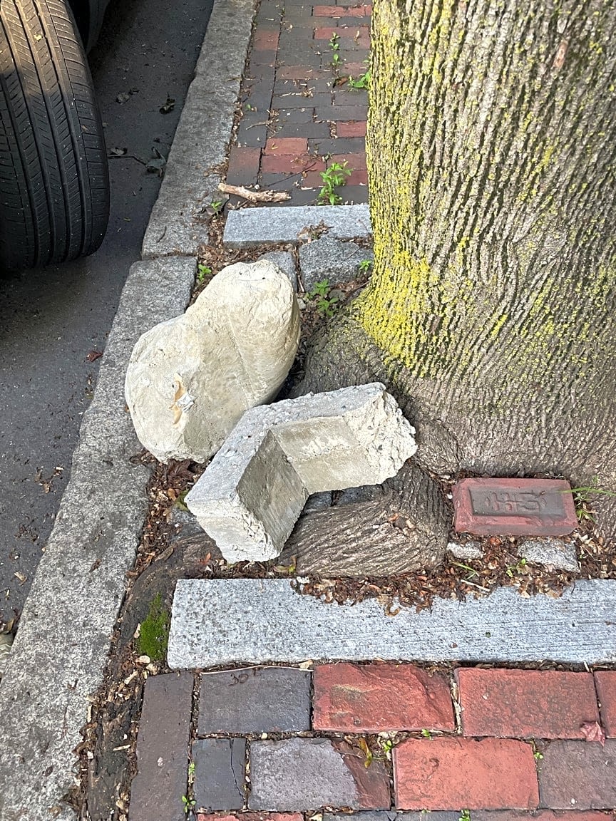 Image submitted with report