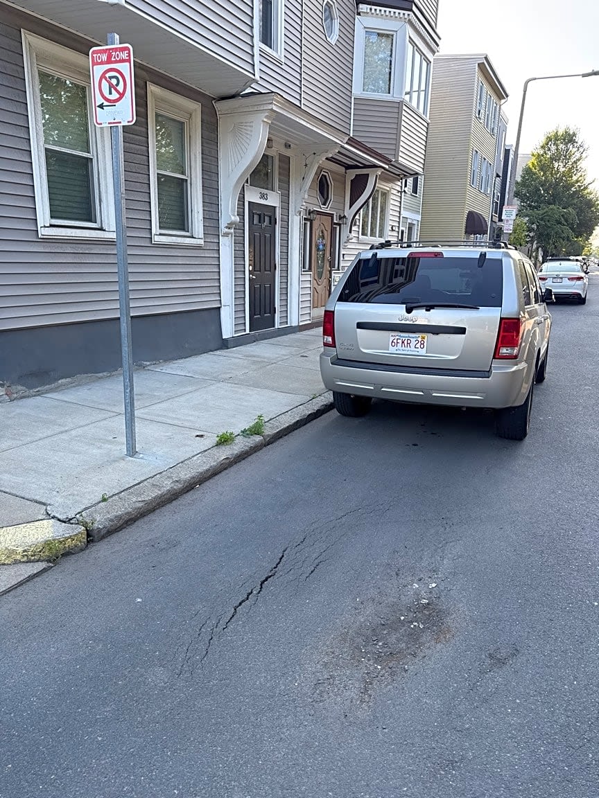 Image submitted with report