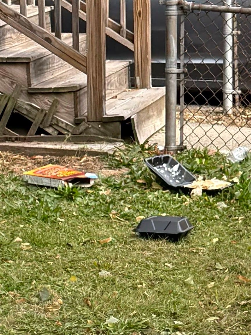 Image submitted with report