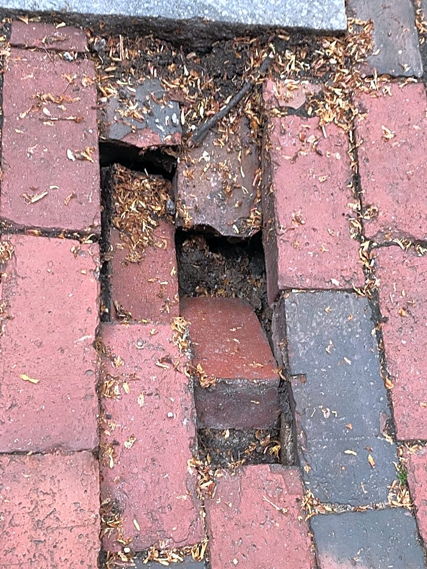 Image submitted with report