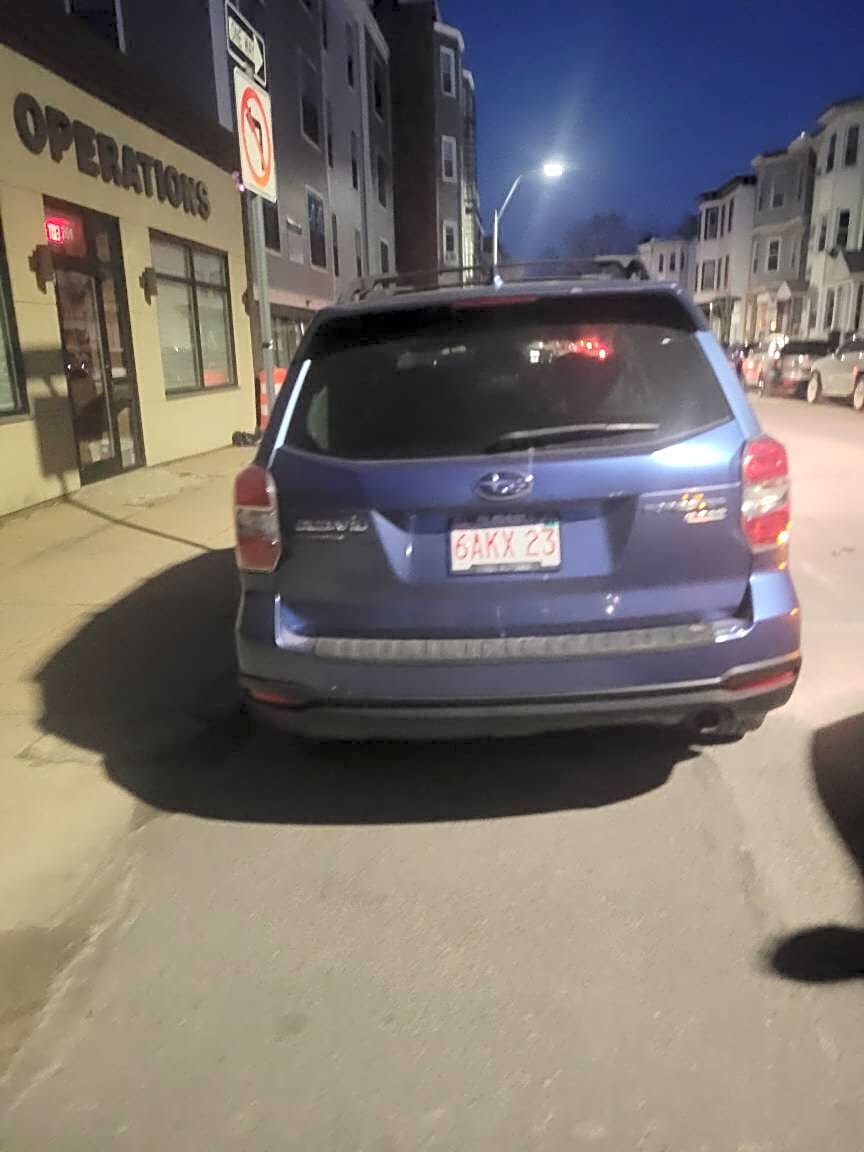 Image submitted with report