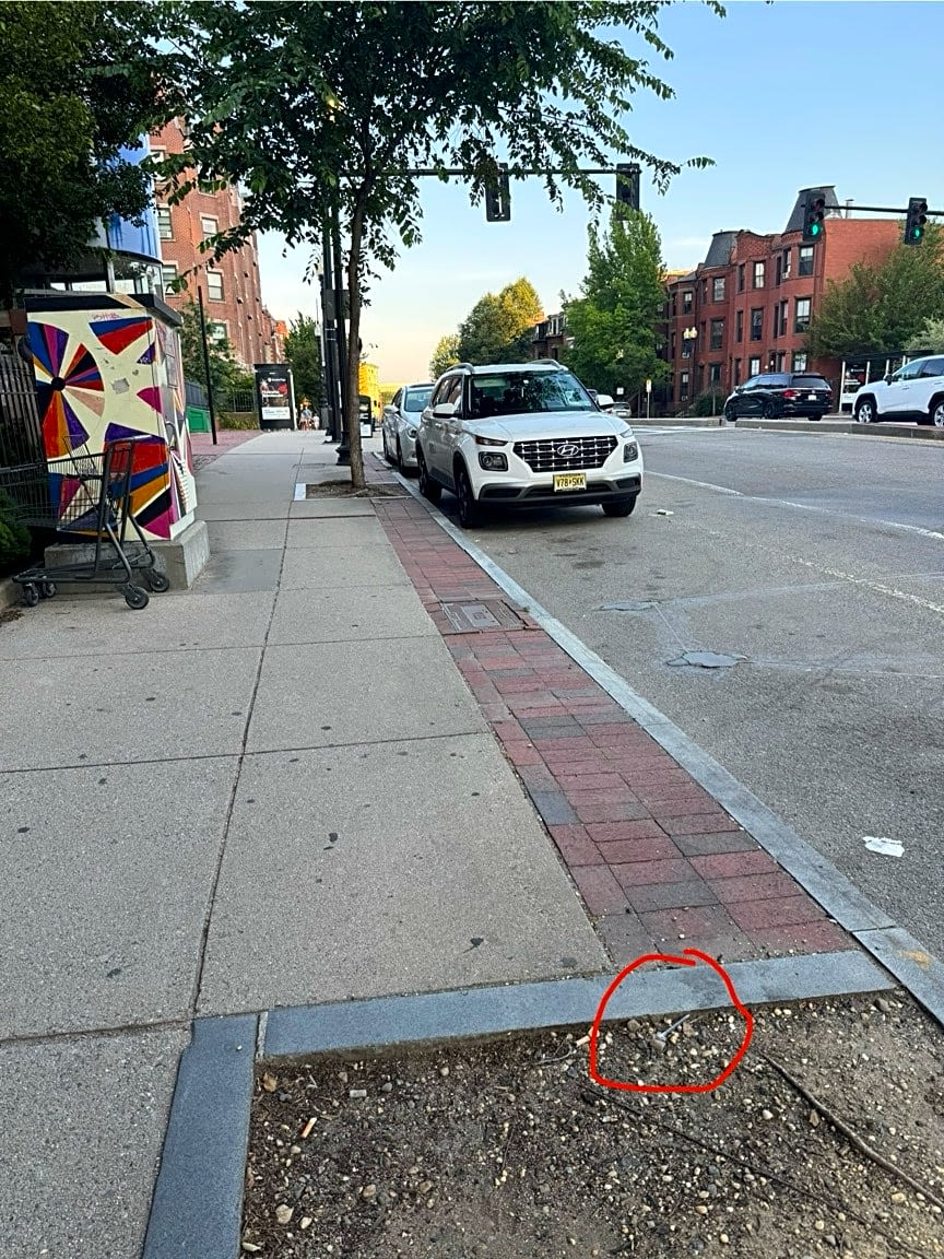 Image submitted with report