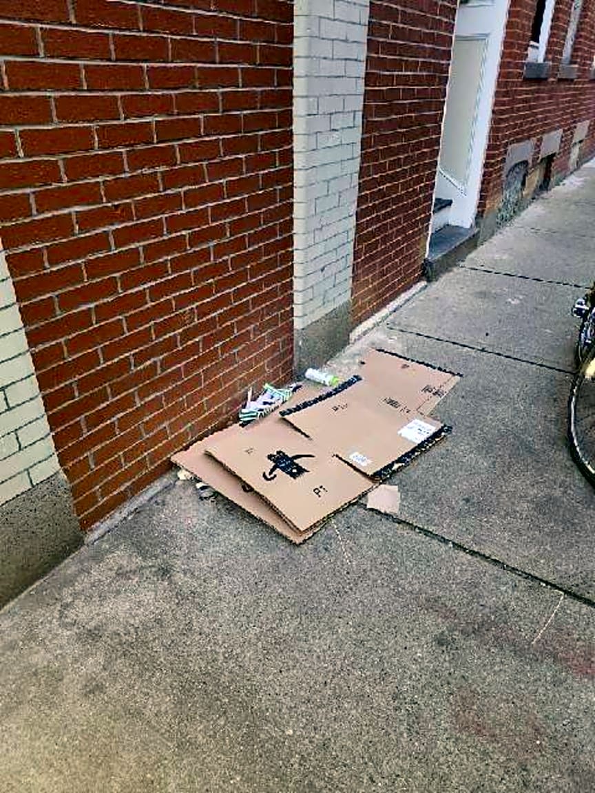 Image submitted with report