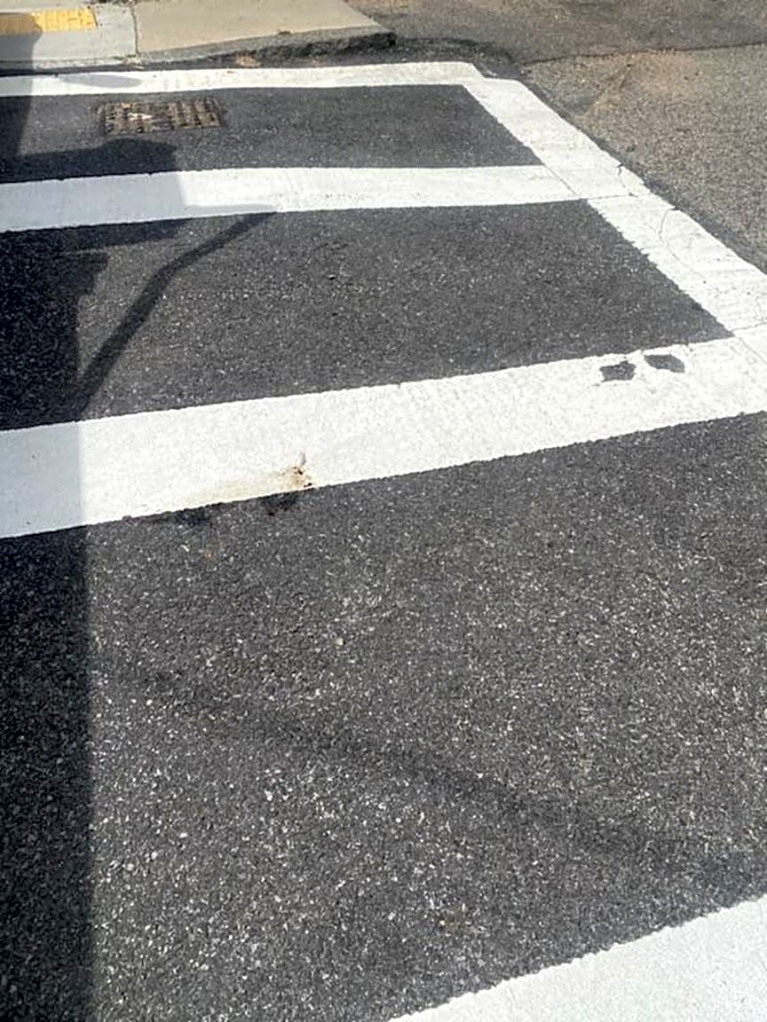 Image submitted with report