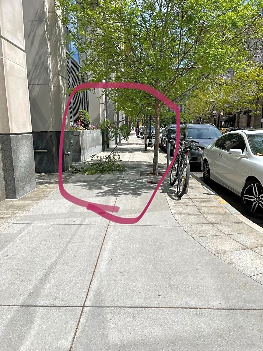 Image submitted with report