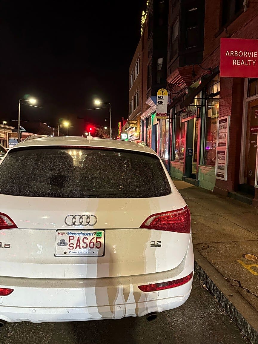 Image submitted with report