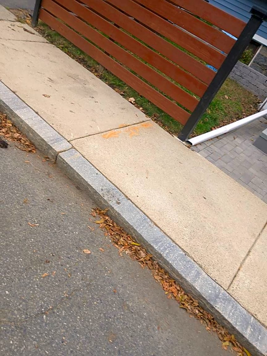Image submitted with report