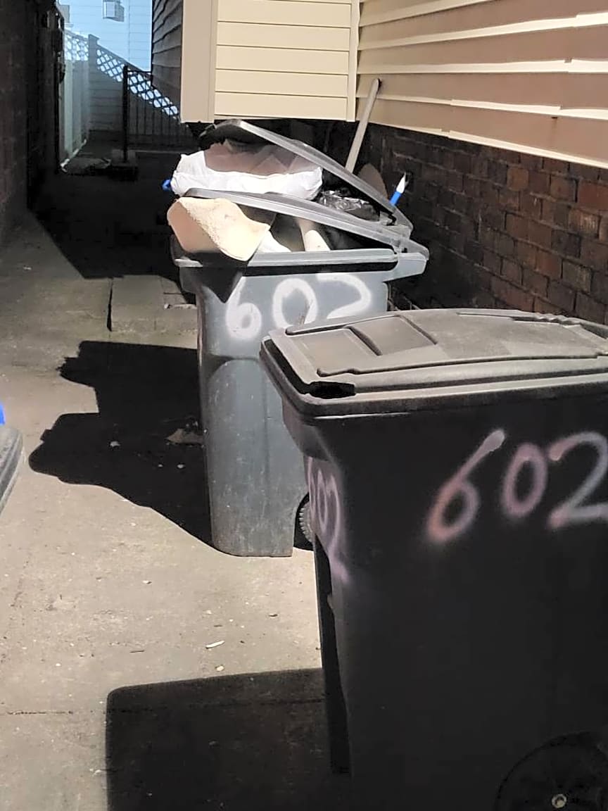 Image submitted with report