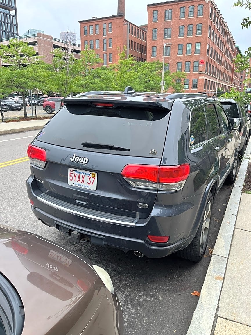 Image submitted with report