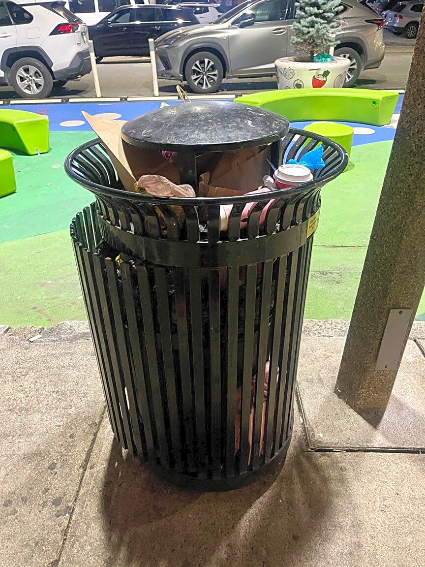 Image submitted with report