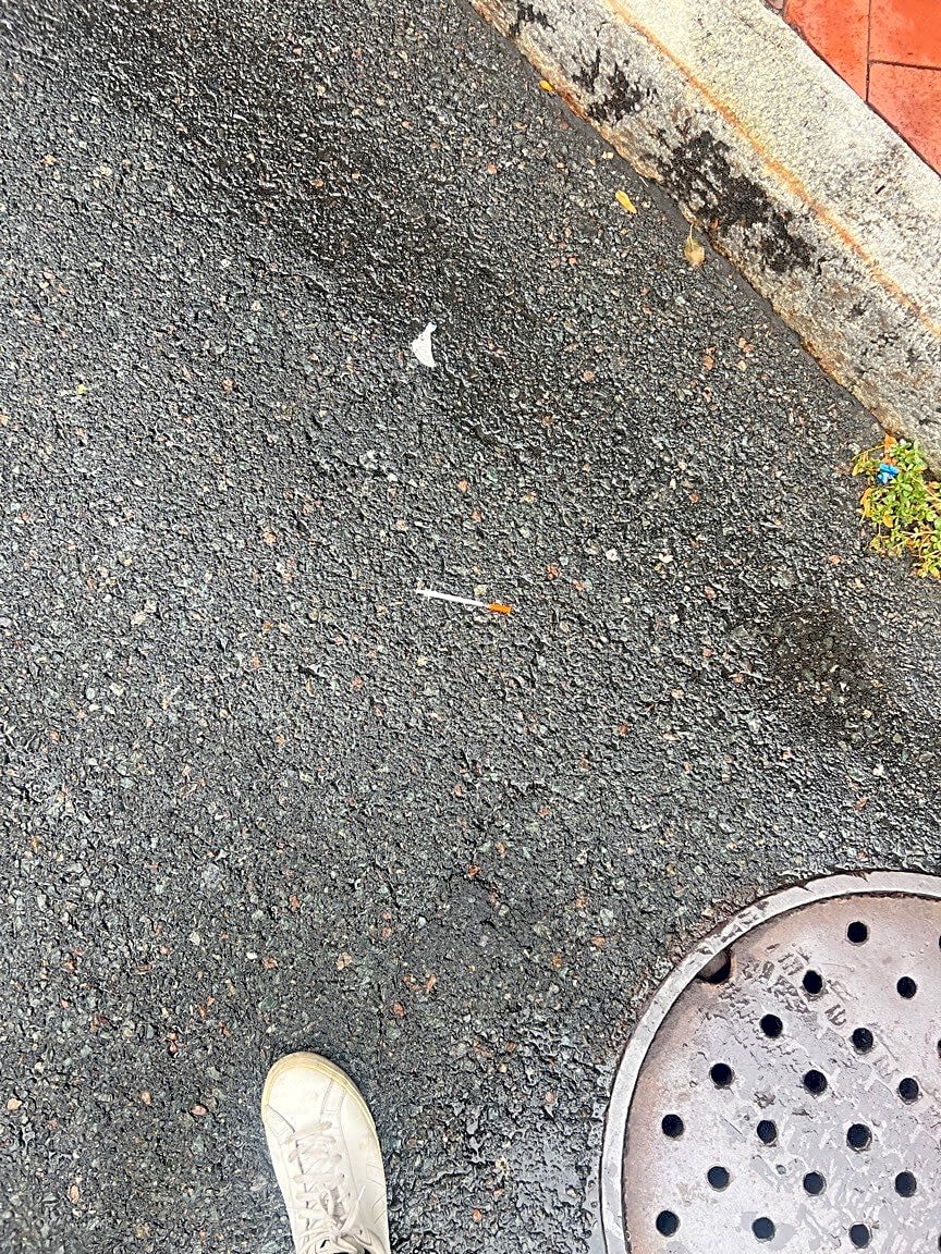 Image submitted with report