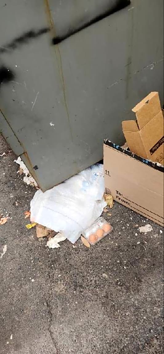 Image submitted with report