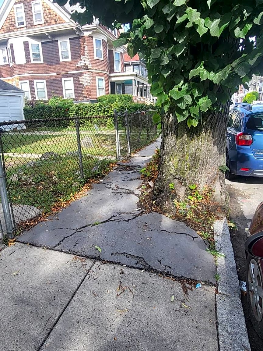 Image submitted with report