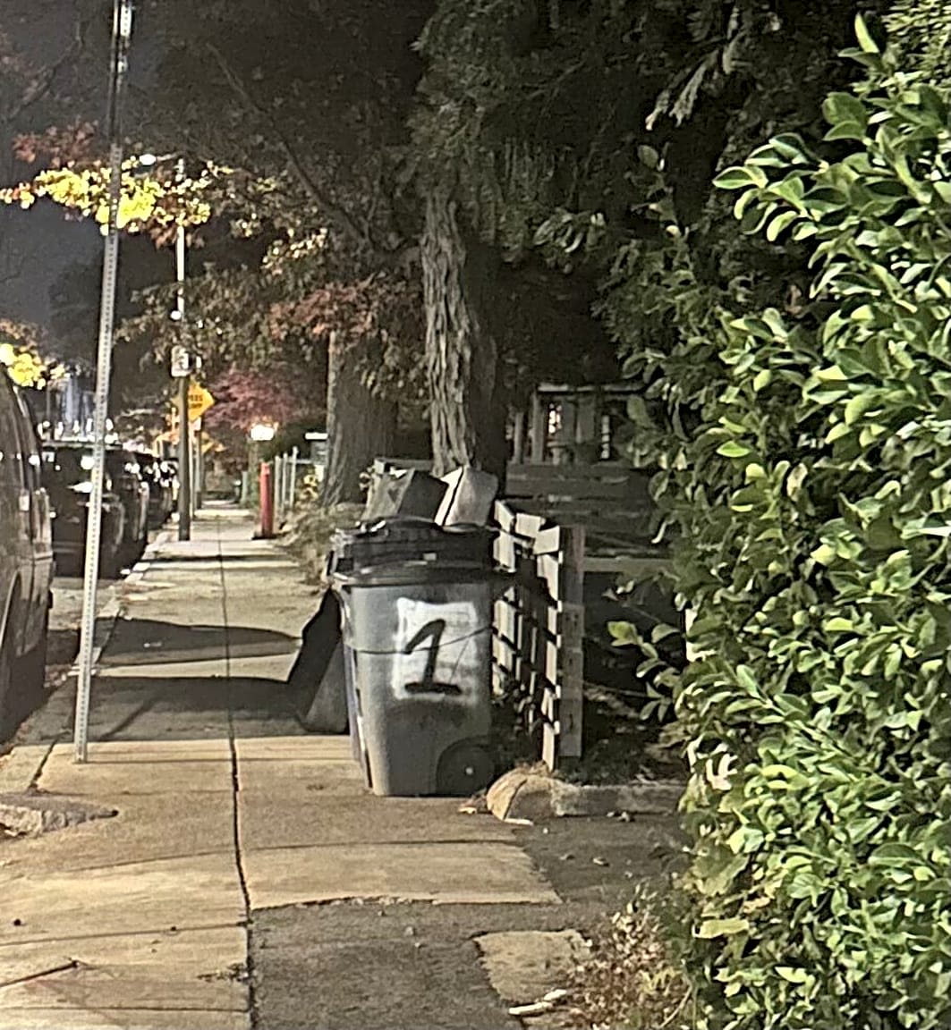 Image submitted with report