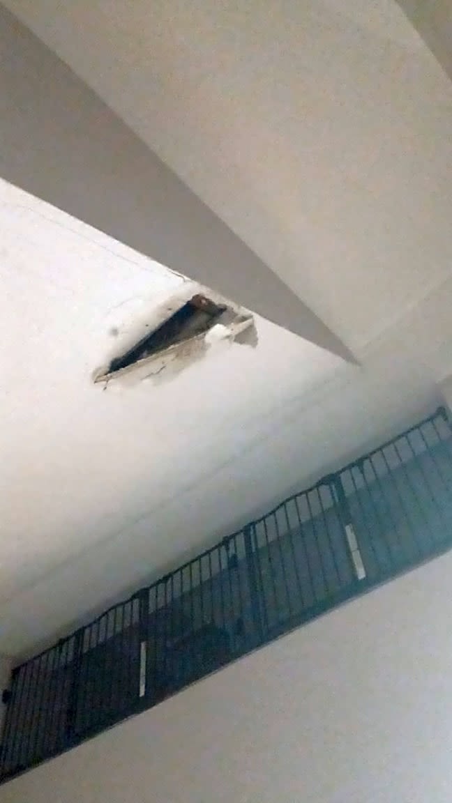 Image submitted with report
