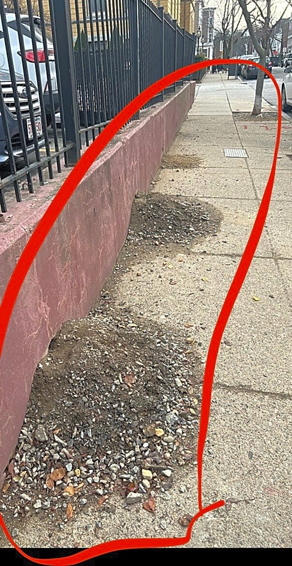 Image submitted with report