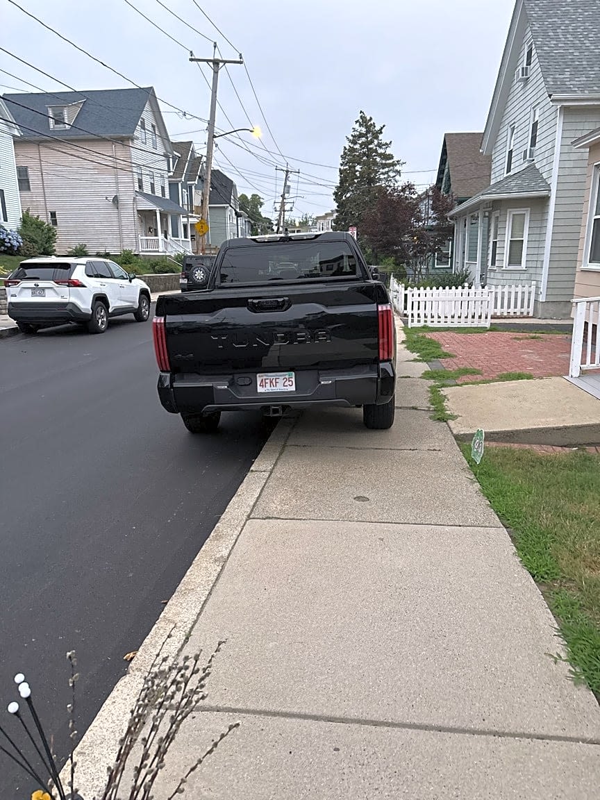 Image submitted with report